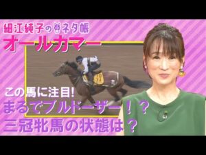 秋の大舞台を目指す豪華メンバーが集結！『細江のネタ帳』オールカマー(ＧⅡ)