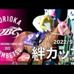 2022年 絆カップ|JBC指定競走|NAR公式