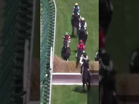 障害レースで落馬事故