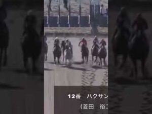 ハクサン号　空馬になってから大暴れ