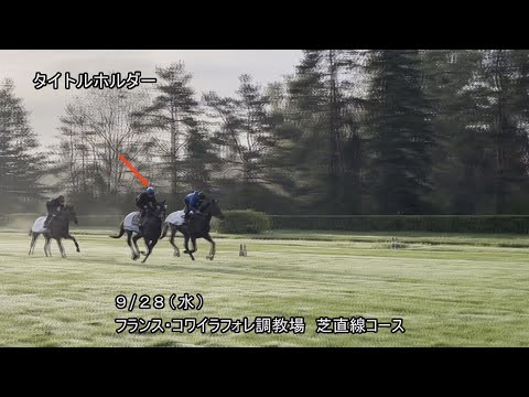 【2022凱旋門賞】日本馬4頭  最終追い切り（タイトルホルダー・ドウデュース・ディープボンド・ステイフーリッシュ）9月28日（水曜） | JRA公式