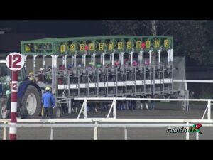 2022年 ウポポイオータムスプリント｜JBC指定競走｜NAR公式