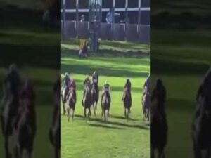 スタート直後に騎手を振り下ろしてルンルンな空馬