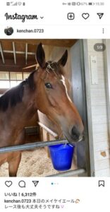 ●メイケイエール、お茶目な一面を覗かせる