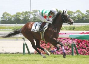 【競馬予想】第42回小倉2歳ステークス(GⅢ) /2022