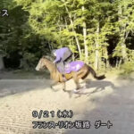 【凱旋門賞】まだ重い!? ドウデュース1週前追い切り