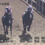 【小倉2歳ステークス2022】追い切り/追い切りが結果につながる