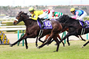 【紫苑S】2歳女王サークルオブライフとはなんだったのか・・・