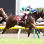 【競馬予想】[2]第36回セントウルステークス(GII) /2022