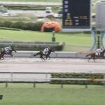 【競馬】中京4R新馬戦 武豊騎乗のルクルスがV