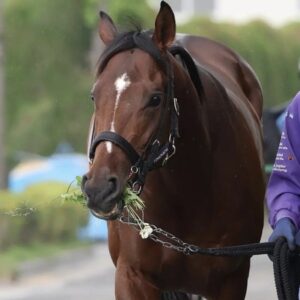 【ニエル賞】ドウデュースいざ凱旋門賞の前哨戦