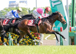 【競馬予想】[2]第70回神戸新聞杯(GⅡ) /2022