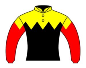 【悲報】冠名「アポロ」のアポロサラブレッドクラブが解散を発表！　所有馬を全てオークションに上場