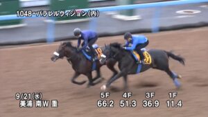 【神戸新聞杯2022】追い切り/動きを見極め勝利に近づけ