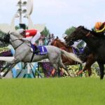 好きな”まくり“のレース
