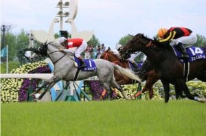 好きな”まくり“のレース