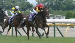 ●今思うとグランアレグリアの2000m挑戦って凄くない？