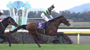 ●エフフォーリア復帰は有馬記念想定