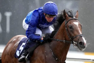 菊花賞に米国Ｇ１馬クラシックコーズウェイが予備登録