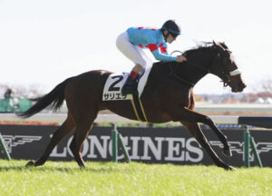 【競馬予想】[2]第40回ローズステークス(GⅡ) /2022