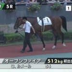 【日曜中京5R新馬戦】オープンファイア&ルメール騎手がキタ━━━━(゚∀゚)━━━━!!