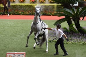 ガイアフォースが丸っきりゴールドシップな件