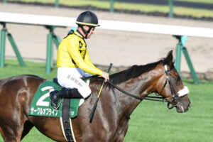 サークルオブライフ右前屈腱炎を発症 秋華賞断念