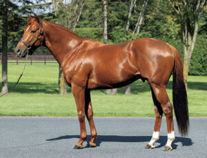 2022新種牡馬リーディング 1位マインドユアビスケッツ,2位サトノクラウン,4位リアルスティール