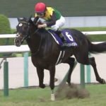 ●タイトルホルダー(重馬場適正不明 欧州適正不明)