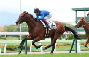 【競馬予想】第67回京成杯オータムハンデ(GIII) /2022