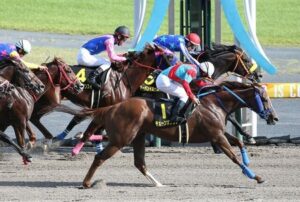 エニフS勝ちチェーンオブラブはＢＣ参戦を視野