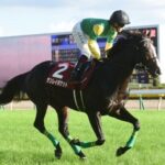 【競馬予想】[1]第58回 新潟記念(GⅢ) /2022