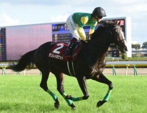【競馬予想】[1]第58回 新潟記念(GⅢ) /2022
