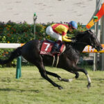 【神戸新聞杯】ジャスティンパレス強すぎワロタwww