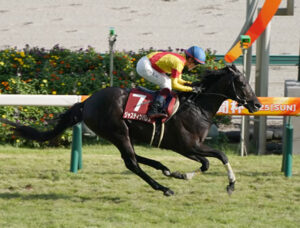 【神戸新聞杯】ジャスティンパレス強すぎワロタwww