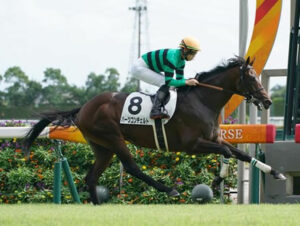 【2歳新馬】8馬身差を圧勝！ハーツコンチェルト強すぎワロタwww