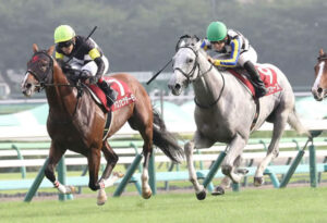 アスクビクターモアは引き続き田辺で菊花賞へ