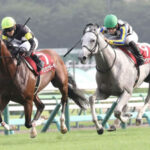 【セントライト記念】ダービー3着アスクビクターモア競り負ける