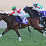 【競馬予想】第25回富士ステークス(GII) /2022