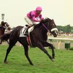 馬具が印象深い馬
