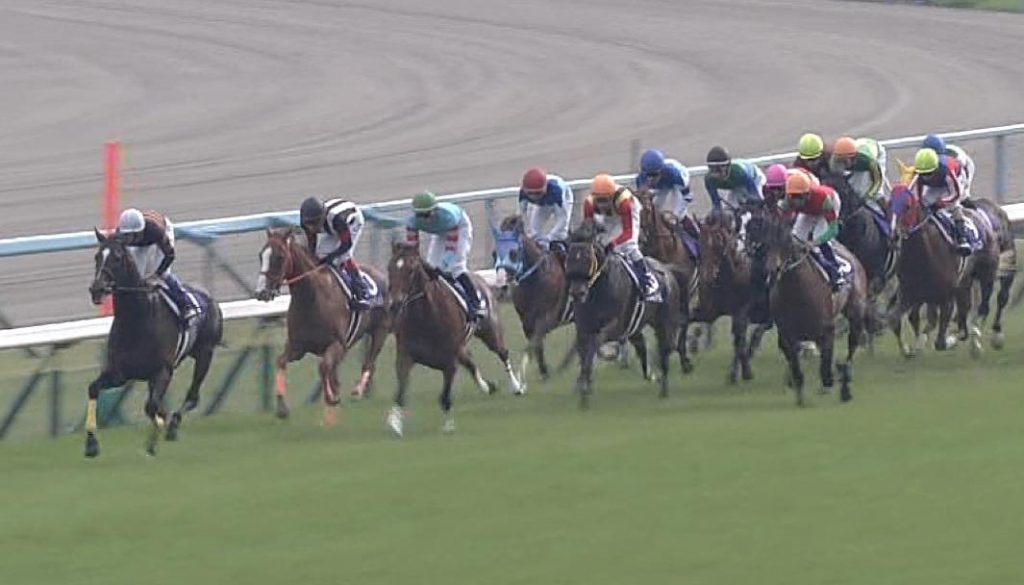 【競馬】10/23(日) 第83回菊花賞(GⅠ) 枠順確定！1枠1番ガイアフォース【2】