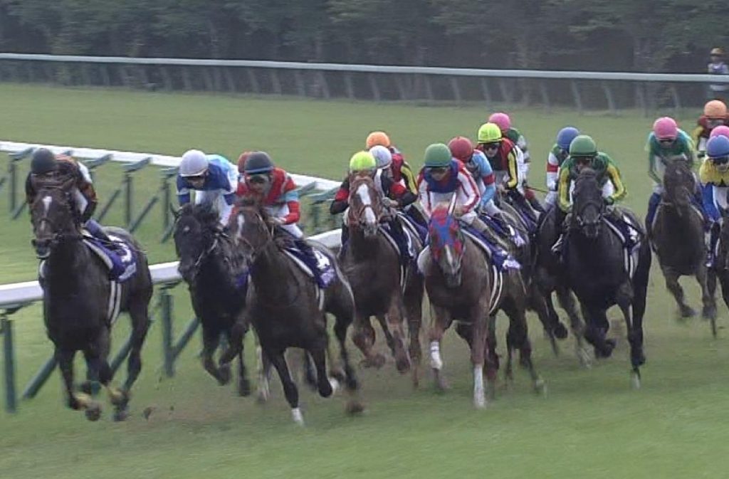 【競馬】去年の菊花賞1番人気だったレッドジェネシス(牡4・父ディープ) の次走がまさかの・・・