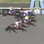 【マイルCS南部杯】カフェファラオ、ゴール前ハナ差差し切りV!GI3勝目