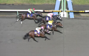 【マイルCS南部杯】カフェファラオ、ゴール前ハナ差差し切りV！ＧI３勝目