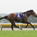 バスラットレオンはドバイのダートで勝ったのになんで欧州芝に行ってんだろうか