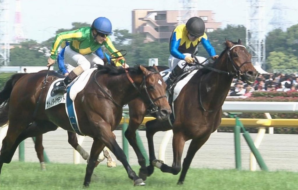 【競馬】10/23(日) 第83回菊花賞(GⅠ) 【6】ガイアフォース体重減らしとるのか…