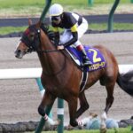 アスクビクターモアの有馬記念制覇が確定した訳だが