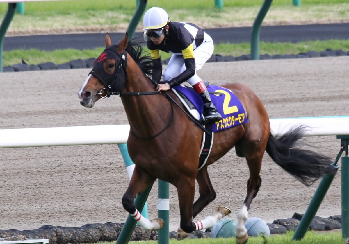 アスクビクターモアの有馬記念制覇が確定した訳だが