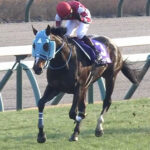 オジュウチョウサン、引退決定