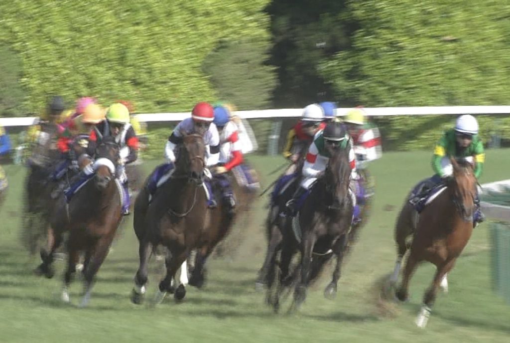 【競馬・天皇賞秋】イクイノックス軽快11秒７　ルメール絶賛「ビューティフルストライド」